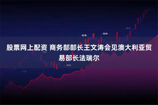 股票网上配资 商务部部长王文涛会见澳大利亚贸易部长法瑞尔